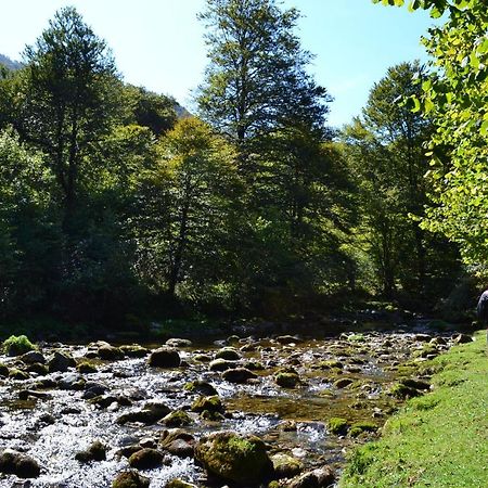 Gites Communaux A Lourdios Lourdios-Ichere Exterior foto